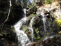 IMG_2600