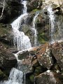 IMG_2602