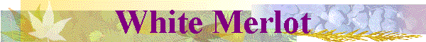 White Merlot