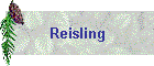 Reisling